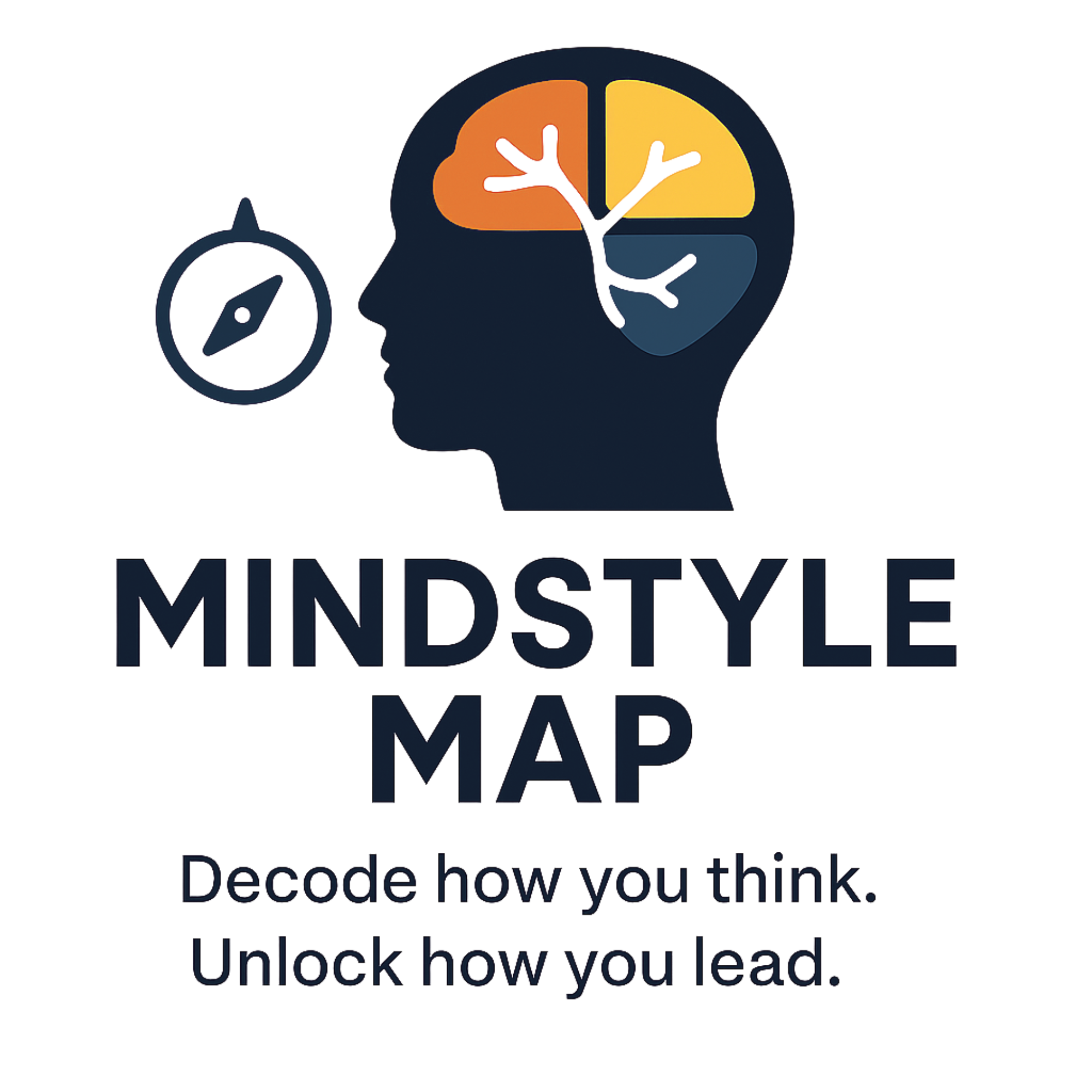 Mindstyle Map Executive Experience